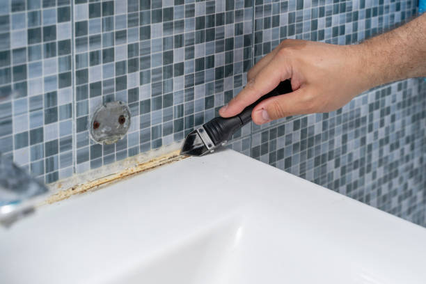 Best Mold Damage Repair  in Bayou La Batre, AL